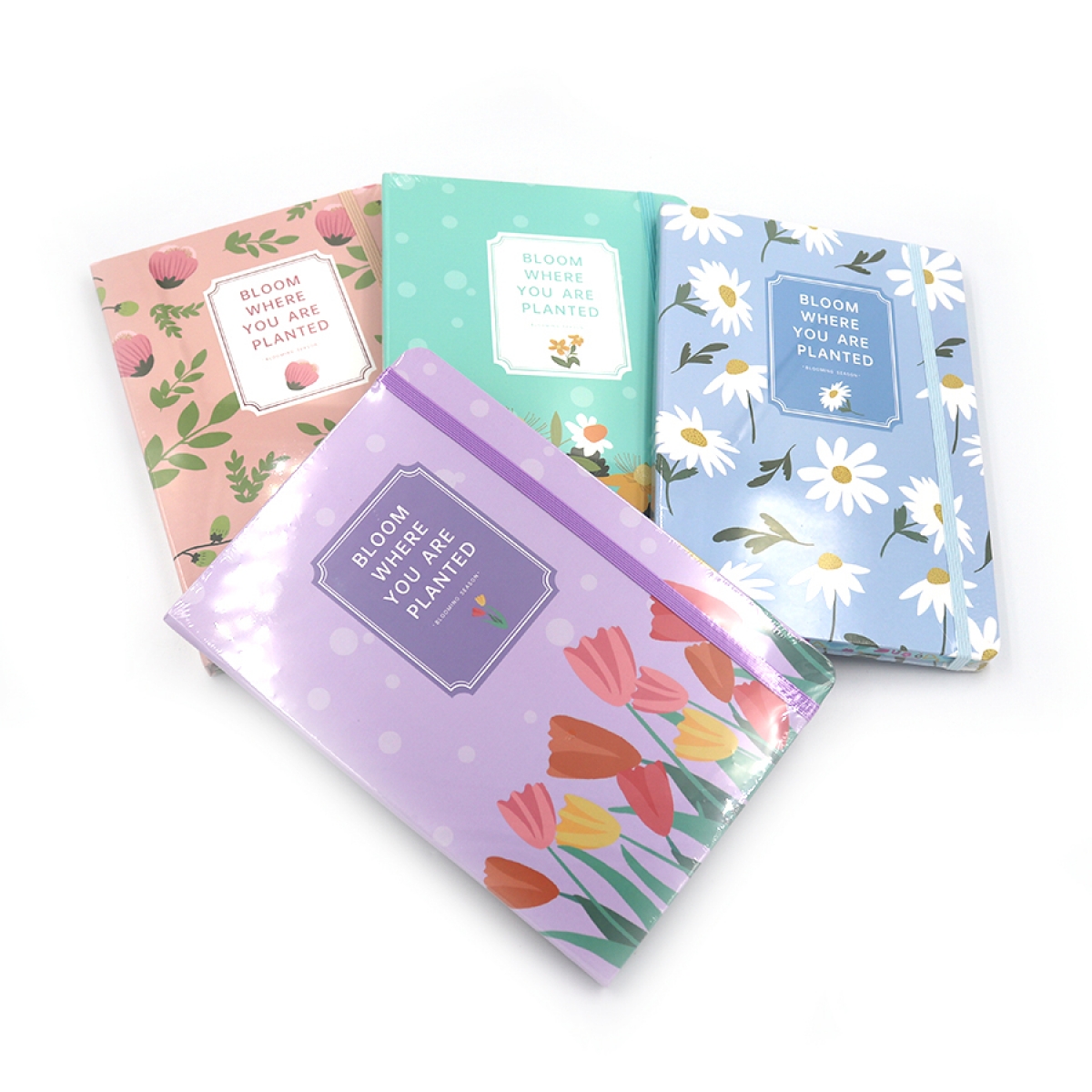 NC5066 Блокнот на гумці 