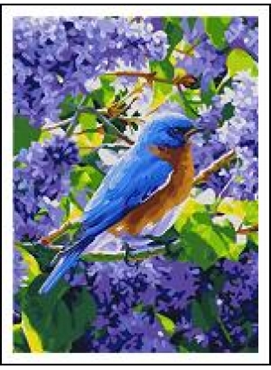 RAD5160 Розк-ка за номером. на дереві 40*50 J.Otten 