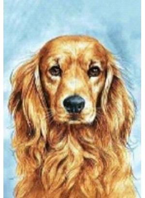 GLD60505_O Алмазна мозаїка 30*40см 