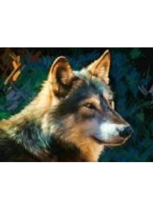 GLD60676 - GB70253_O Алмазна мозаїка 30*40см 