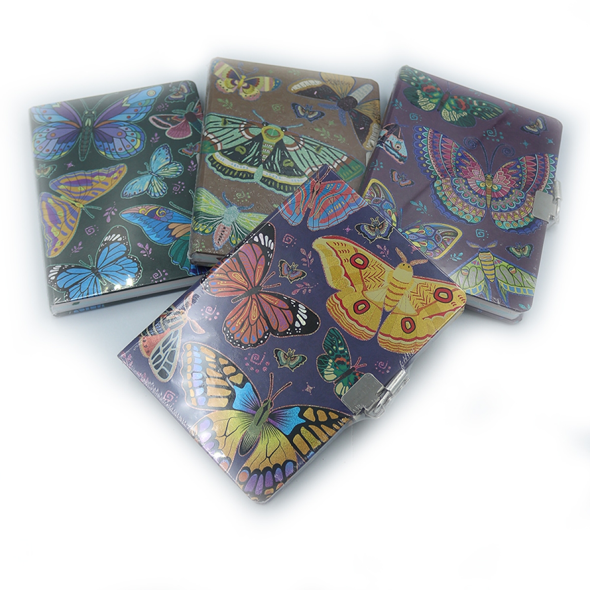 DSCN3267 Блокнот із замочком 