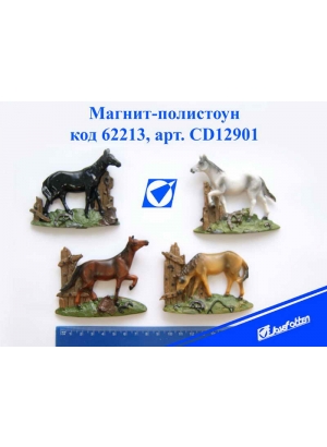 CD12901 Сув керам магніт 