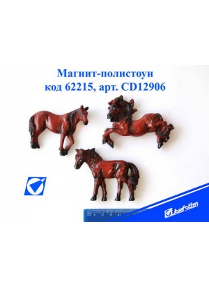 CD12906 Сув керам магніт 