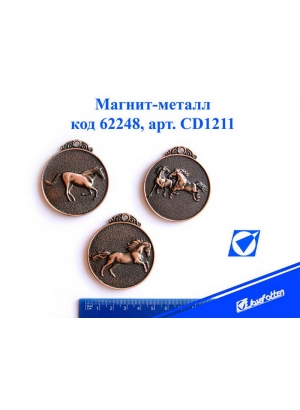 CD1211 Сув метал магніт 