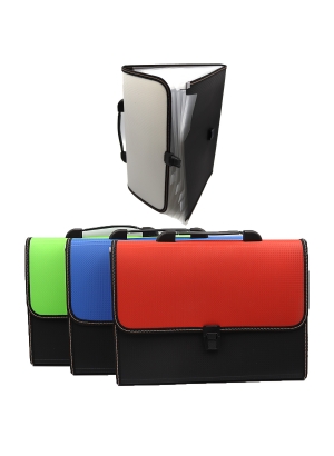 IMG_ 4568  Папка - портфель з розділ 