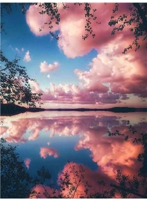 RAD3034 Розк-ка за номером. на дереві 40*50 J.Otten 