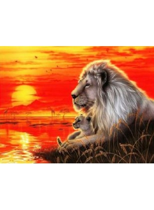 RAD3242 Розк-ка за номером. на дереві 40*50 J.Otten 