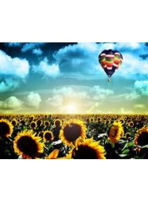 RSBD8244 Розк-ка за номером. на дереві 40*50 J.Otten 