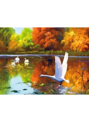 RAD3224 Розк-ка за номером. на дереві 40*50 J.Otten 