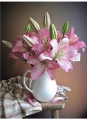 RSBD8151 Розк-ка за номером. на дереві 40*50 J.Otten 