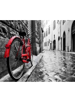 RSBD8208 Розк-ка за номером. на дереві 40*50 J.Otten 