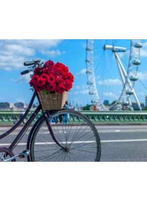 RSBD8366 Розк-ка за номером. на дереві 40*50 J.Otten 