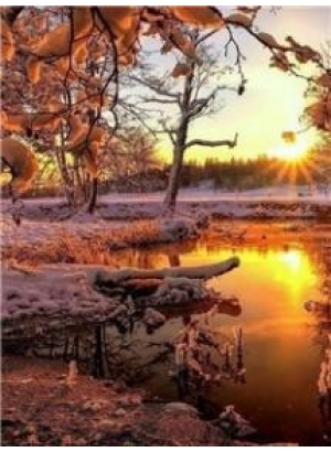 RSBD8431 Розк-ка за номером. на дереві 40*50 