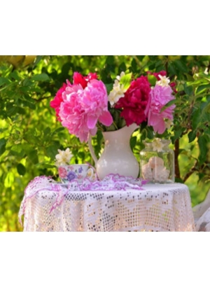 RSB8128_B Розк-ка за номером. 40*50см 