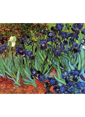 RSB8201_B Розк-ка за номером. 40*50см 