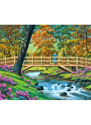 RSB8449_B Розк-ка за номером. 40*50см 