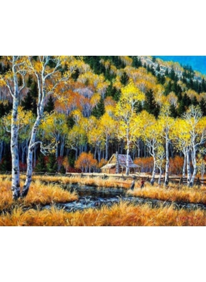 Y5062_O Розм-ка за номером. 40*50см 