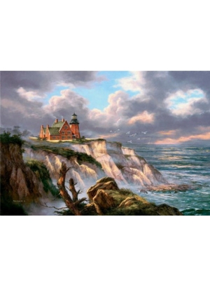 Y5070_B Розк-ка за номером. 40*50см 