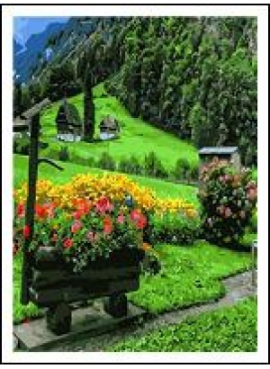 RA5584_B Раск-ка по номер. 40*50см 