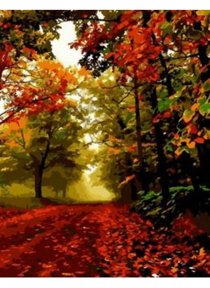 RA5526 (2)_B Раск-ка по номер. 40*50см 