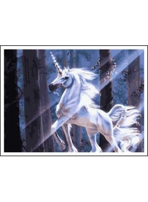 RAD5065 Розк-ка за номером. на дереві 40*50 J.Otten 