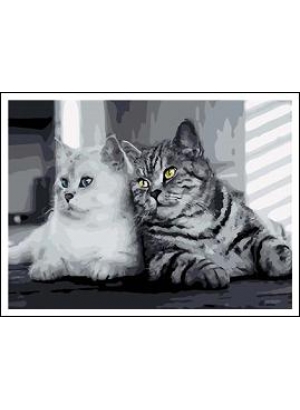 RAD5086 Розк-ка за номером. на дереві 40*50 J.Otten 