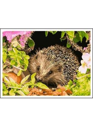 RAD5253 Розк-ка за номером. на дереві 40*50 J.Otten 