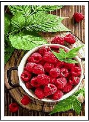 RAD5548 Розк-ка за номером. на дереві 40*50 J.Otten 