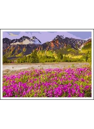 RAD5095 Розк-ка за номером. на дереві 40*50 J.Otten 