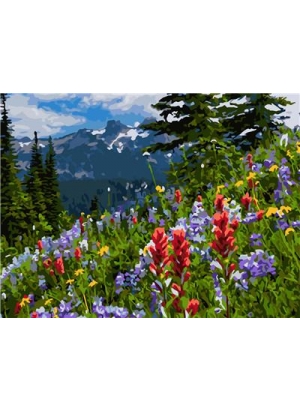 RAD5109 Розк-ка за номером. на дереві 40*50 J.Otten 