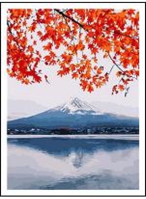 RAD5231 Розм-ка за номер. на дереві 40*50 