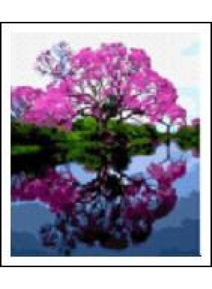 RAD5492 Розк-ка за номером. на дереві 40*50 J.Otten 