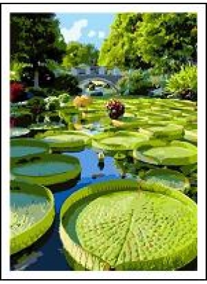 RAD5560 Розк-ка за номером. на дереві 40*50 J.Otten 