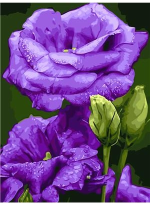 RAD5081 Розк-ка за номером. на дереві 40*50 J.Otten 