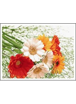 RAD5140 Розк-ка за номером. на дереві 40*50 J.Otten 