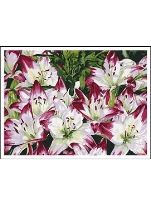 RAD5165 Розк-ка за номером. на дереві 40*50 J.Otten 