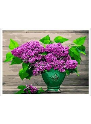 RAD5250 Розк-ка за номером. на дереві 40*50 J.Otten 