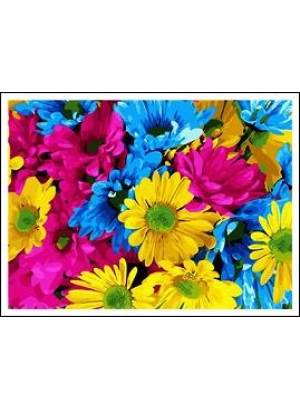 RAD5262 Розк-ка за номером. на дереві 40*50 J.Otten 