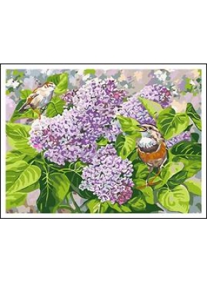 RAD5386 Розк-ка за номером. на дереві 40*50 J.Otten