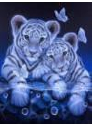 GLD60869 - GB73374 Алмазна мозаїка за номерами 30*40 