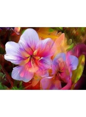 GLD60124_O Алмазна мозаїка 30*40см 