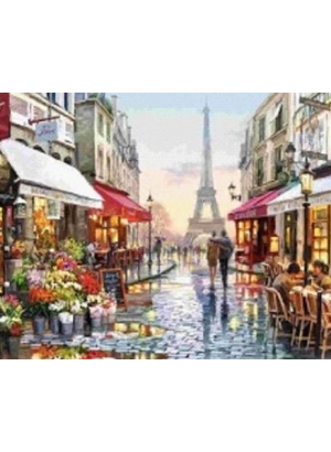 GLD60375_O Алмазна мозаїка 30*40см 