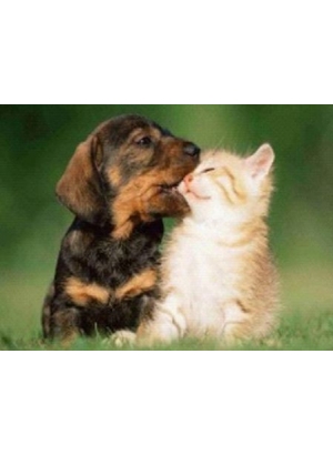 GLD60434_O Алмазна мозаїка 30*40см 