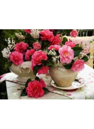 GLD60488_O Алмазна мозаїка 30*40см 