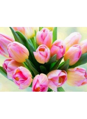 GLD60497_O Алмазна мозаїка 30*40см 