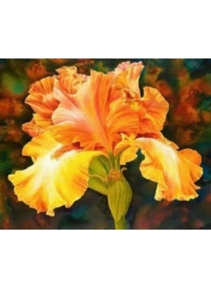 GLD60513_O Алмазна мозаїка 30*40см 