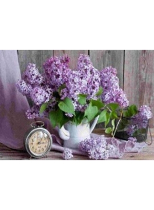 GLD60536_O Алмазна мозаїка 30*40см 