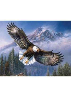 GLD60595_O Алмазна мозаїка 30*40см 