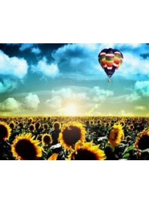 GLD60652_O Алмазна мозаїка 30*40см 