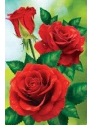 GLD60665_O Алмазна мозаїка 30*40см 